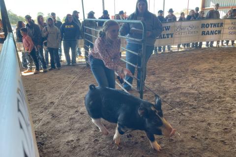 Kaycee Nutt enters the arena at the Bastrop County Junior Livestock Show and Youth Fair Jan. 14 in Elgin. Photo by Fernando Castro