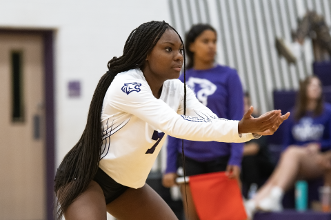 Lady Wildcats varsity volleyball senior Avanity Pleasant locks in defensively on Aug. 25 during Elgin’s home match vs. Meridian World School. Photo by Marcial Guajardo