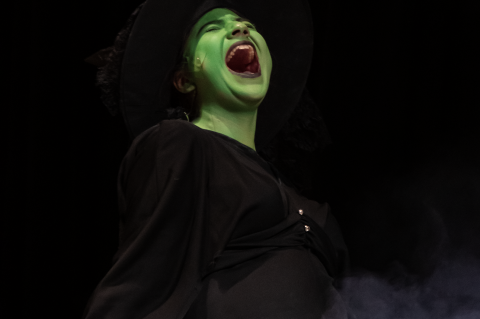 Ninel Jaimes spooks audience members with her best Wicked Witch of the West impression. Photo by Marcial Guajardo.