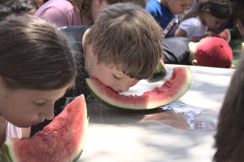 Watermelon-eating contests, ages seven through 12