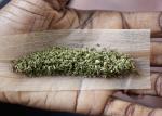 Small quantities of marijuana will no longer necessarily mean an arrest in Elgin.