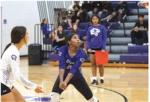 Lady Wildcats volleyball continues to play hard